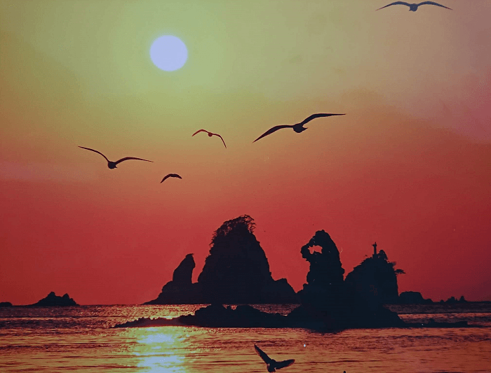 夕日と鳥と岩