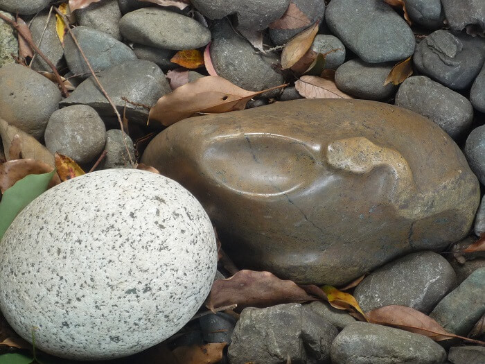 白蛇が右側に浮き出た石