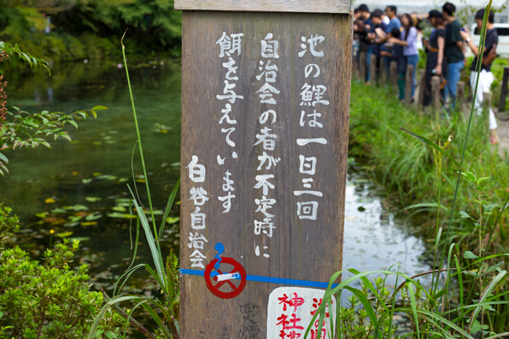 池のルールが書いてある看板