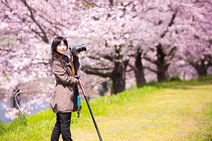 桜並木道でカメラを持つ女性