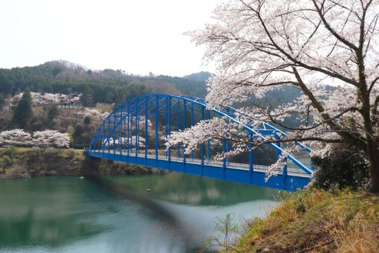 青い青蓮寺橋