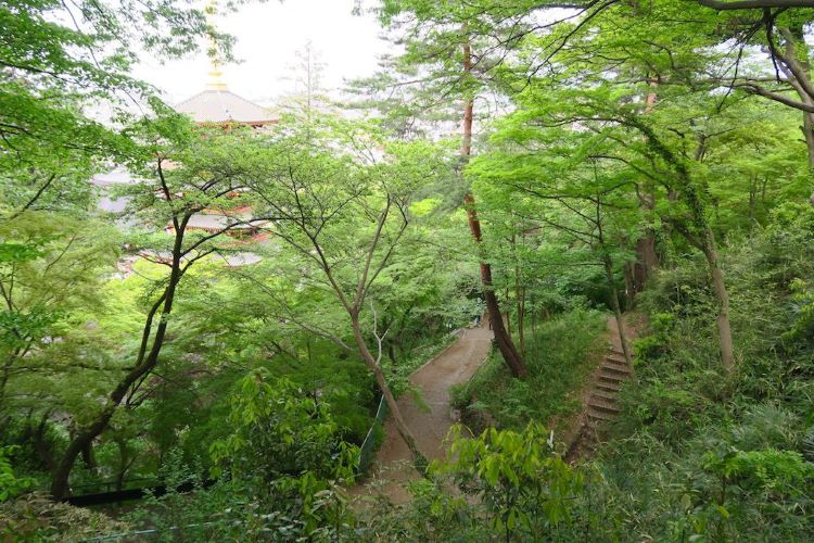 高幡不動尊の山道散策コース