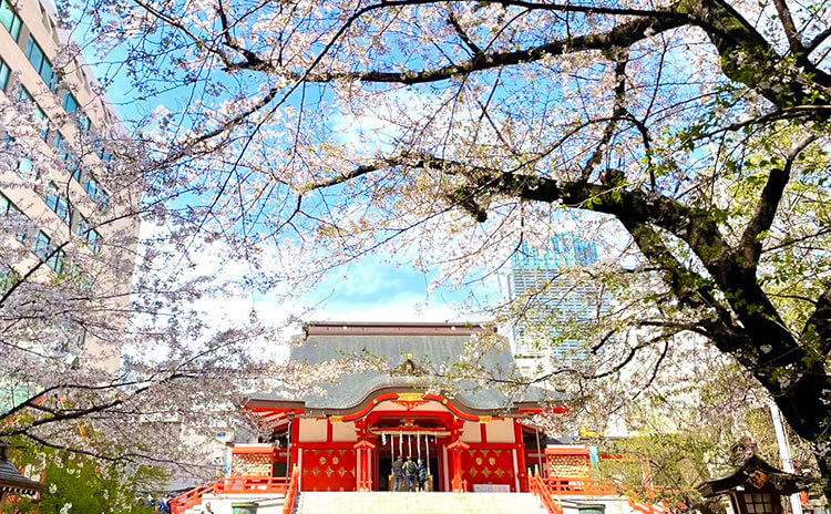 花園神社（花見）