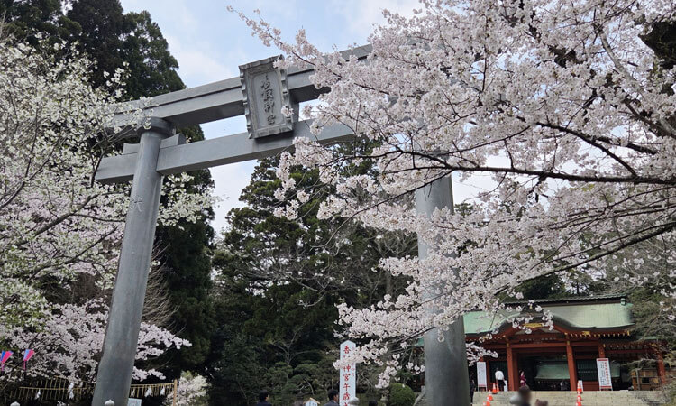 香取神宮（花見）