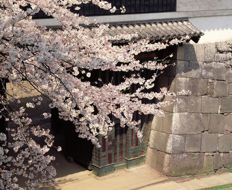 北の丸公園