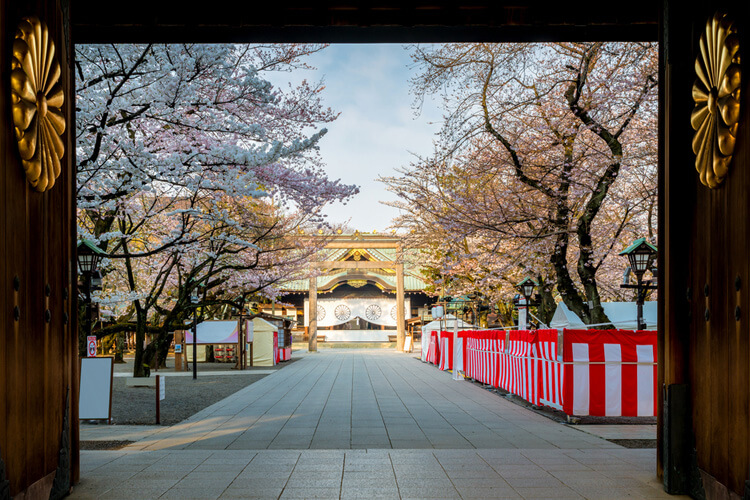 靖国神社（花見）